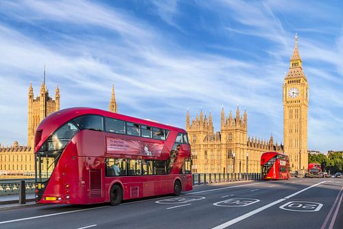 Typisch Westminster von Melanie Viola