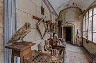 Magnificent hall in an abandoned castle - urbex by Martijn Vereijken thumbnail