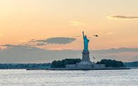 Het Vrijheidsbeeld in New York tijdens een warme zonsondergang