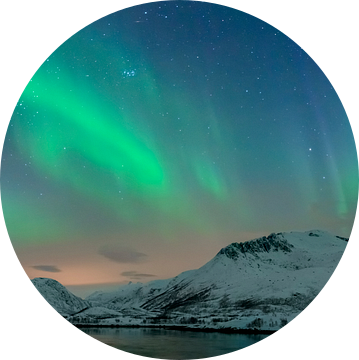 Noorderlicht, poollicht of Aurora Borealis over de Lofoten eilanden in Noord-Noorwegen van Sjoerd van der Wal Fotografie