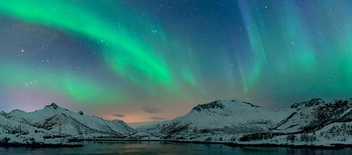 Noorderlicht, poollicht of Aurora Borealis over de Lofoten eilanden in Noord-Noorwegen van Sjoerd van der Wal Fotografie
