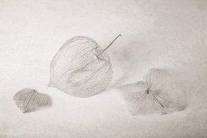 l'art à partir de la nature