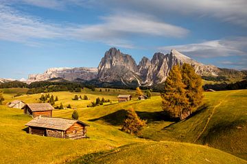 Alpe di Siusi in de Dolomieten van Dieter Meyrl