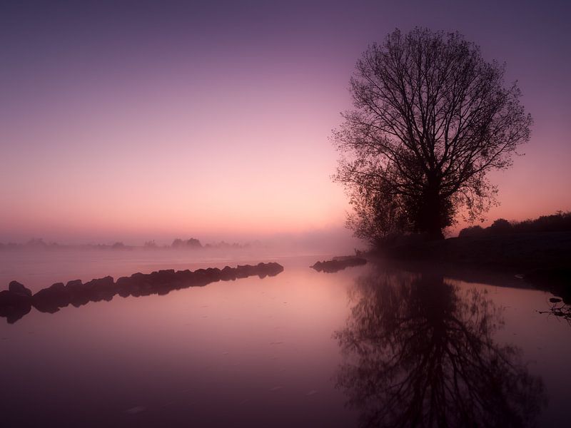 Sunrise in the Maasheggen by Lex Schulte