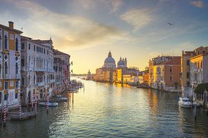 Canal Grande en Santa Maria della Salute. Venetië