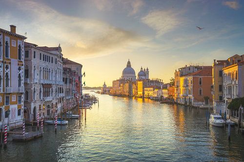 Canal Grande en Santa Maria della Salute. Venetië