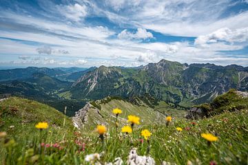 Bloemen met uitzicht op Bad Hindelang, Großer Daumen en de Allgäu van Leo Schindzielorz