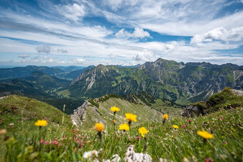 Flowers with a view of Bad Hindelang, Großer Daumen and the Allgäu by Leo Schindzielorz