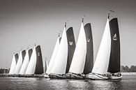 Start sailing race with skûtsjes by ThomasVaer Tom Coehoorn thumbnail