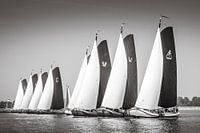 Start sailing race with skûtsjes