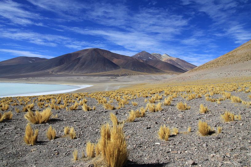 Miscanti lagune bij San Pedro de Atacama van Antwan Janssen