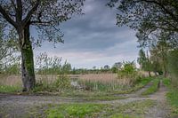 Pad in het vijvergebied bij Mönau in Opper-Lausitz