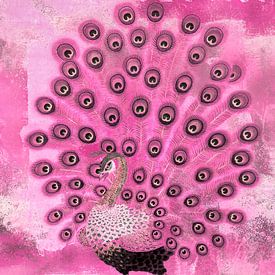 Le paon rose sur Gabi Hampe