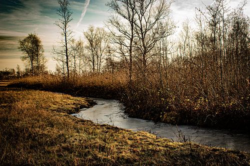 Ruisseau Silent Winter