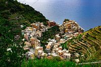 Prachtige Manarola in Cinque Terre, Italië