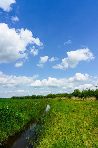 hollandse boeren sloot