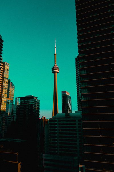 Toronto by Hello Pompoyo