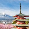Magnificent view of Mount Fuji with Chureito Pagoda during cherry blossom season by Melanie Viola