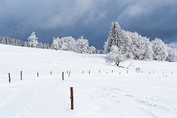 Landschap in de winter in het Thüringer Woud bij Schmied
