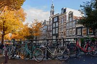Bloemgracht in Amsterdam