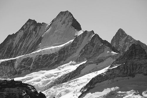 Schreckhorn und Lauteraarhorn