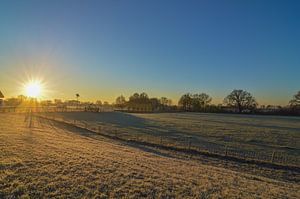 Perfekter Sonnenaufgang über der Wiese