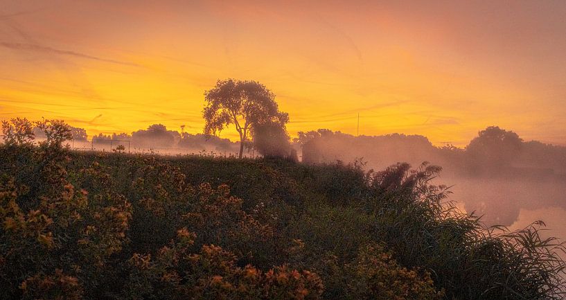 Sunrise by Freddie de Roeck