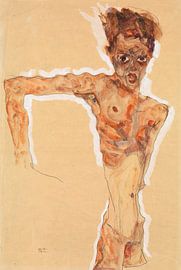 Self-portrait, Egon Schiele - 1911