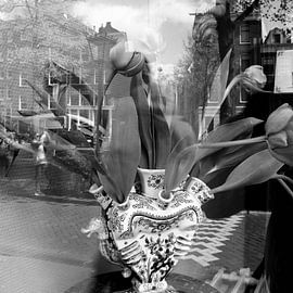 Vase à tulipes à Amsterdam.