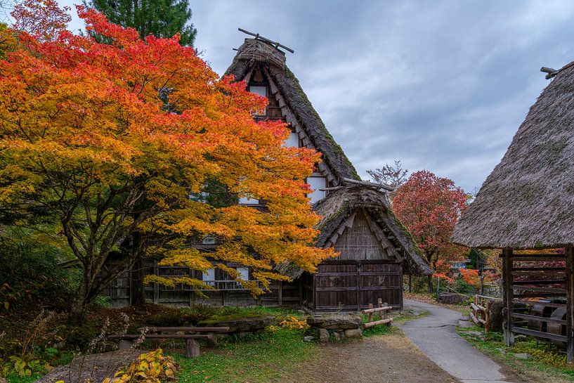 Gasshō-zukuri: Historic Autumn in Hida Folk Village by Teun Ruijters