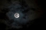 Super volle maan in de winter van Martin Steiner thumbnail