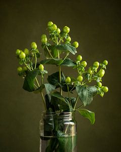 Hypericum-Zweige im Glasgefäß