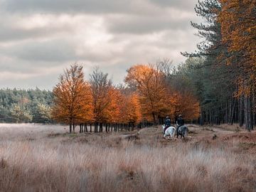 going out in autumn by Roy Kreeftenberg
