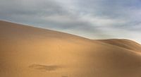 Les dunes de sable du désert par Olivier Photography Aperçu