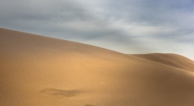 Les dunes de sable du désert par Olivier Photography