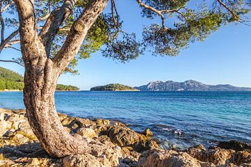 Strand Platja de Formentor, Mallorca van Christian Müringer
