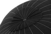 the black balloon van Yvonne Blokland thumbnail