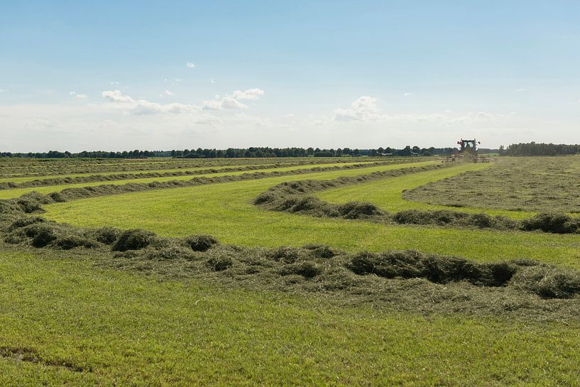 tractor met schudder op een groot weiland von Tonko Oosterink