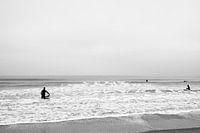 4 Surfer stürzen sich ins Meer - Zwart wit - Den Haag
