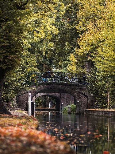 Herfstbeeld Bij De Nieuwe Gracht