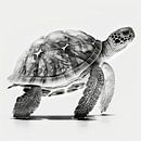 Monochrome schildpad van Uncoloredx12 thumbnail