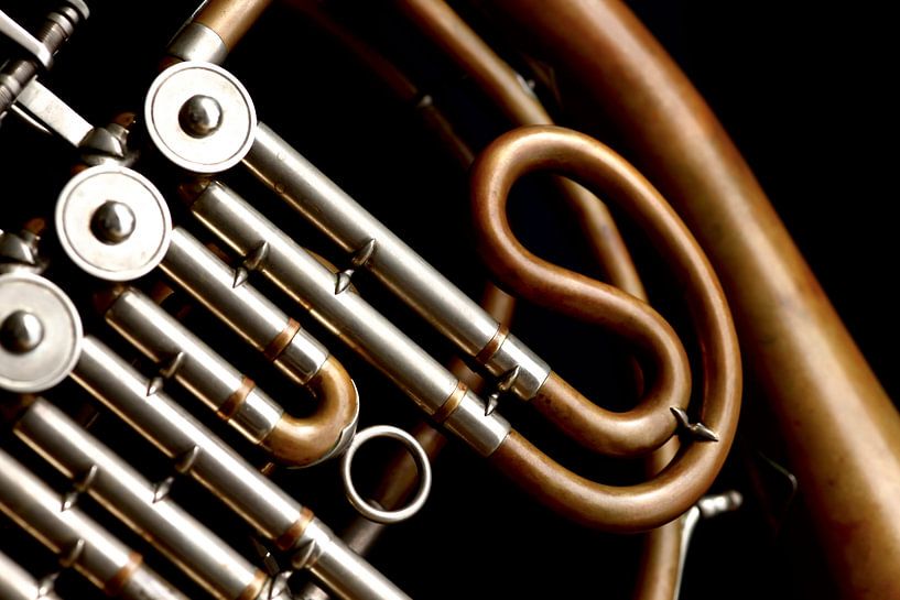 French Horn by Thomas Jäger