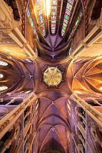 Amsterdam Posthoorn Kirche, ein Foto der Decke!