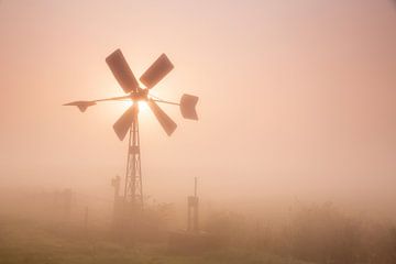 Molentje in de mist van Monique van Genderen (in2pictures.nl fotografie)