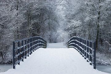 Schnee im Westerpark von Ellen Weidenaar