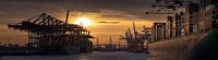 Container ships and cranes in Hamburg harbour at sunset by Jonas Weinitschke thumbnail
