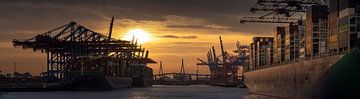 Sonnenaufgang im Hamburger Hafen von Jonas Weinitschke