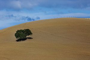 Minimalisme paysager en Toscane
