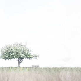 Einsamer Baum von Ellen Snoek