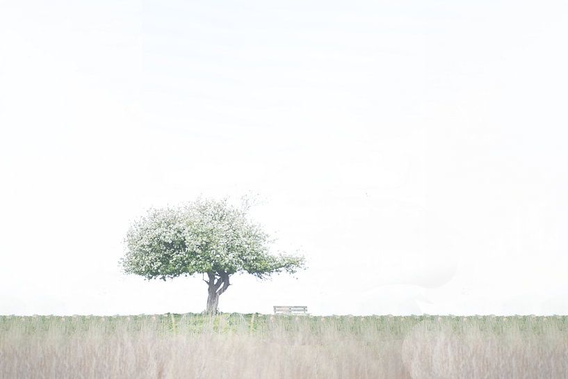 Arbre solitaire par Ellen Snoek